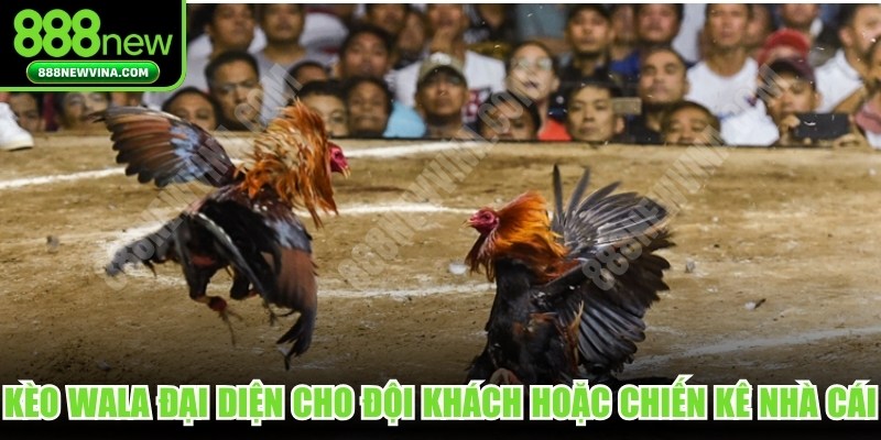 Kèo Wala đại diện cho đội khách hoặc những chiến kê nhà cái