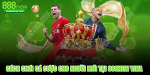 Cách Chơi Cá Cược Cho Người Mới