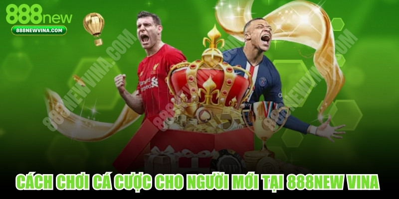 Cách Chơi Cá Cược Cho Người Mới