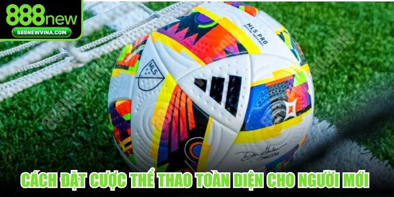 Cách đặt cược thể thao toàn diện cho người mới từng tỷ lệ