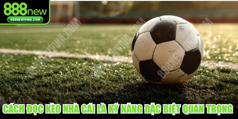 Cách đọc kèo nhà cái là kỹ năng đặc biệt quan trọng cần hiểu