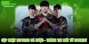 Cập Nhật Esports Cá Cược