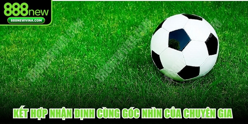 Kết hợp nhận định cùng góc nhìn của chuyên gia để quyết định