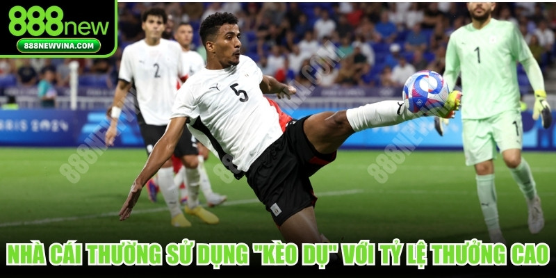 Nhà cái thường sử dụng các "kèo dụ" với tỷ lệ thưởng cực cao
