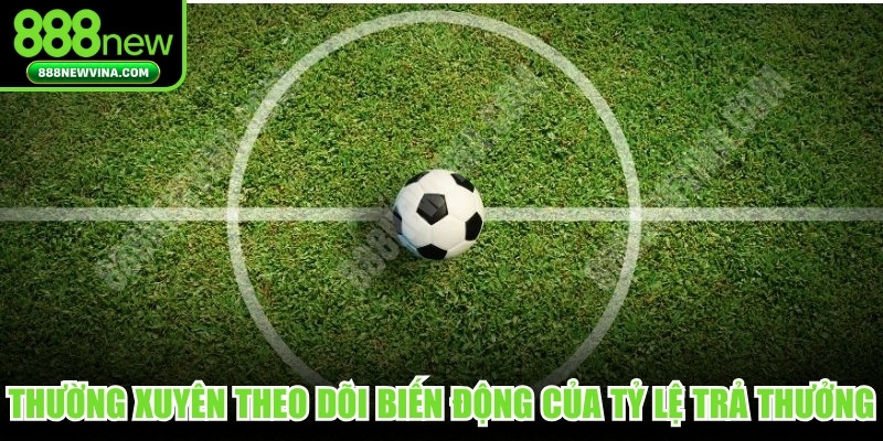 Thường xuyên theo dõi sự biến động của tỷ lệ trả thưởng