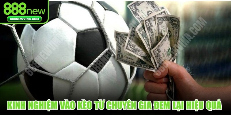 Kinh nghiệm vào kèo từ đội ngũ chuyên gia đem lại hiệu quả nhanh